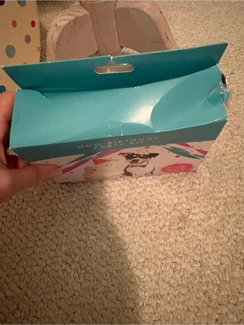 Table Fun Dog Birthday Party Kit - new ** box mashed due to travel